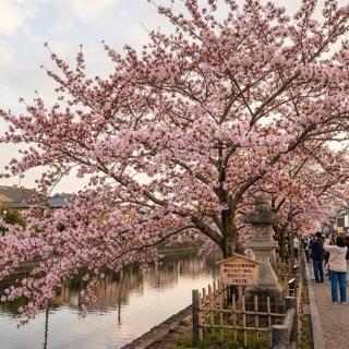 桜咲く、一年の節目に♪
