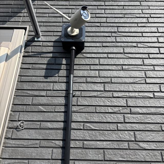 S__198533143_0