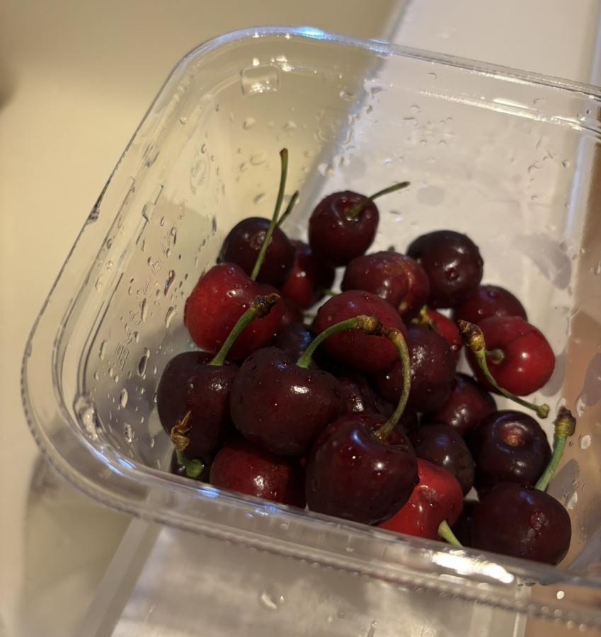 美味しそうなアメリカンチェリーが！！-お知らせ