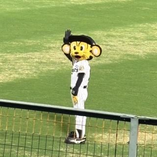 阪神タイガースの試合へ…♬-ブログ
