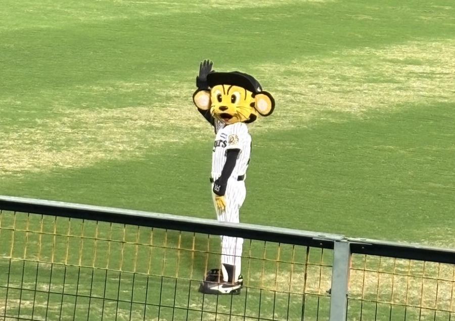 阪神タイガースの試合へ…♬-ブログ | ブログ