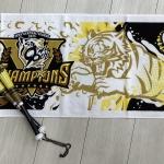 阪神タイガースの試合へ…♬ ブログ