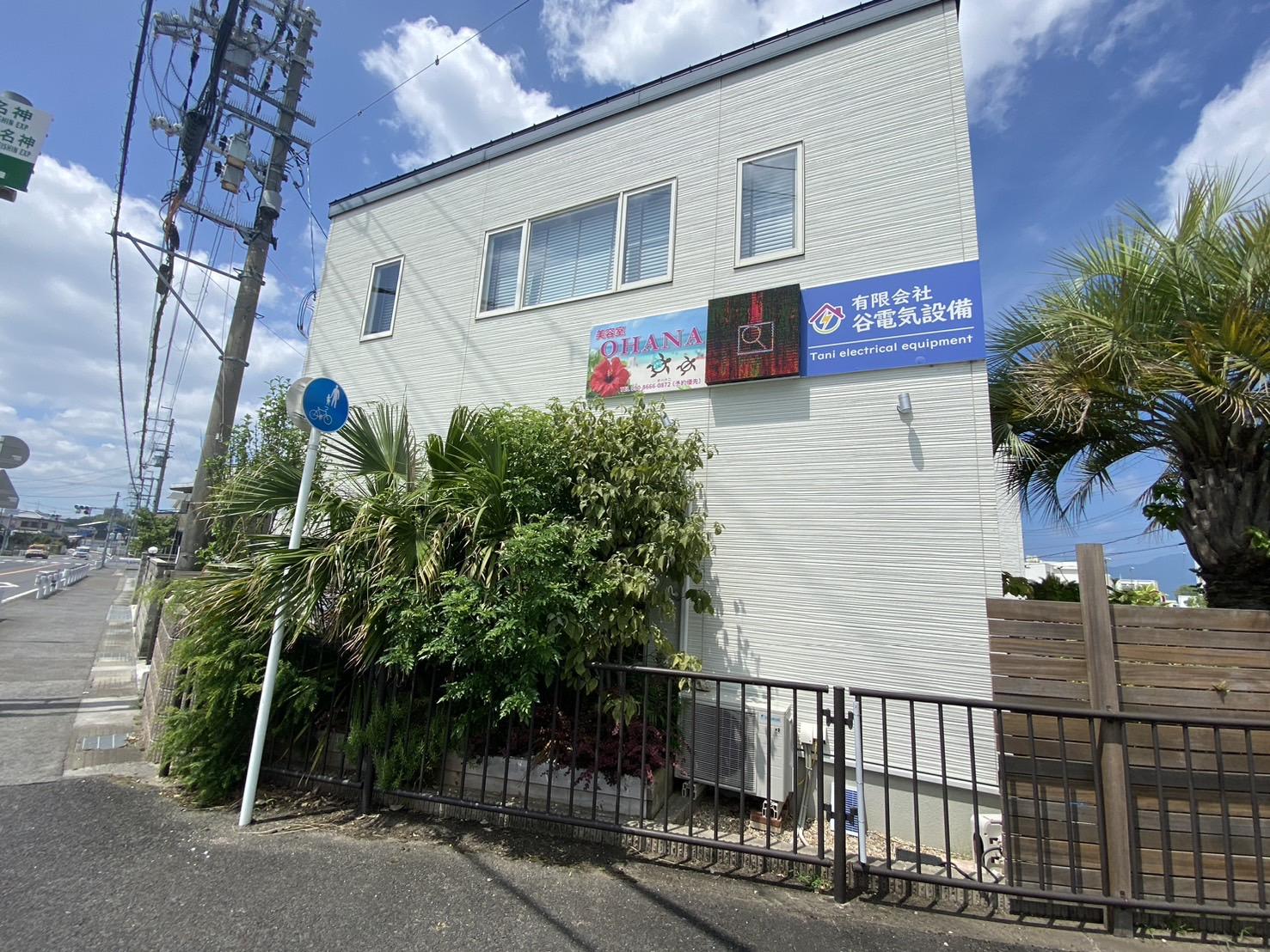 谷電事務所の植栽がさっぱりです♬ ブログ