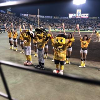 可愛いものを発見‼-お知らせ